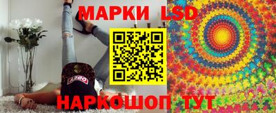 индика Будённовск