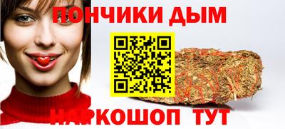 индика Будённовск