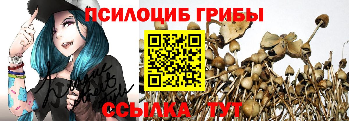 Галлюциногенные грибы Cubensis  Вход с VPN  Саров  Галлюциногенные грибы ЛСД 